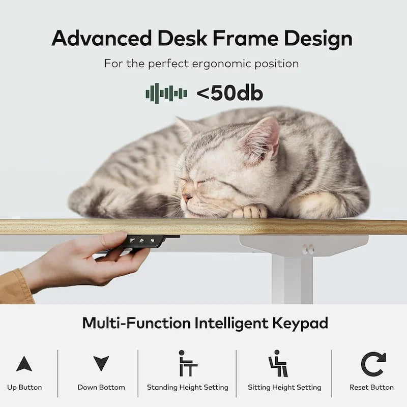 Height Adjustable Electric Standing Desk with Splice Board